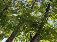 -何适山庄 ·可团建(水长城P2停车场店)