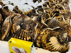 -三亚火车头万人海鲜广场