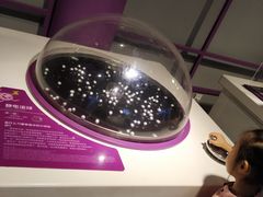 -陕西自然博物馆