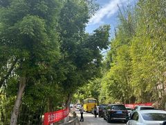 -华蓥山天意谷景区