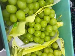 -海吉星国际农产品物流管理有限公司