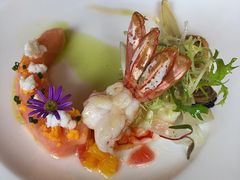 -蝶舍·MAISON PAPILLON