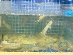 -威海渔村(黄兴路店)