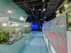 -上海大自然野生昆虫馆(东方明珠·爬宠昆虫探索中心)