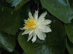 -益健·足疗汗蒸SPA(芙蓉广场店)