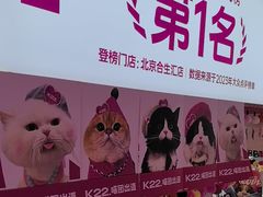 -K22.酸奶草莓(烟台芝罘店)