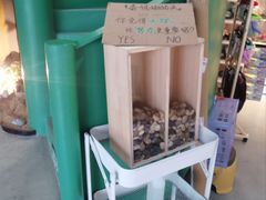 -绿壁虎攀岩基地(Tcar店)