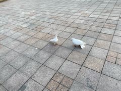 -人民广场
