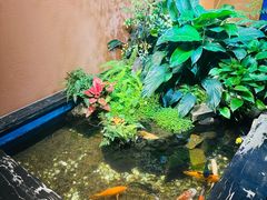 -隐炉和牛烧肉店(群力店)