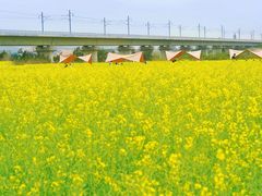 -光明小镇欢乐田园