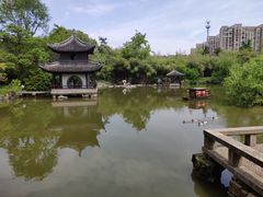 -水绘园