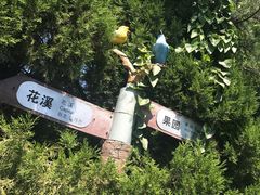 -石老人观光园