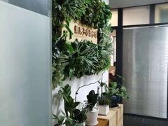 -绿房子心理咨询