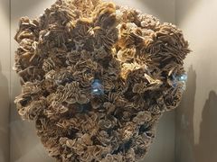 -甘肃地质博物馆