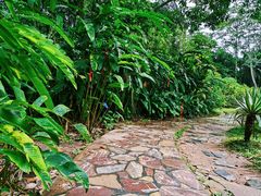 -中国科学院西双版纳热带植物园