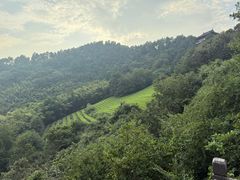 -敬亭山风景名胜区