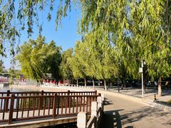 -莲花池公园