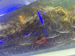 -聚盛源蒸汽海鲜火锅烤肉自助(巨川金海岸购物广场店)