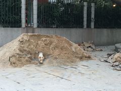-晓港公园