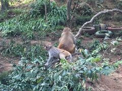 -黔灵山公园-南门售票处