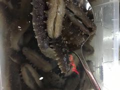 -何庄子阿米玛玛农产品批发市场