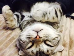 -哈根达斯(皇城恒隆广场店)