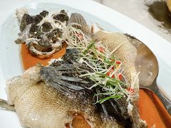 清蒸笋壳鱼-蘭心·臻品(瑞虹太阳宫店)