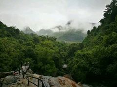 -天门沟九州驿站树上汤泉