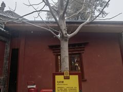 -西安市广仁寺