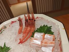 -月龍吟(朝龙汇店)