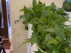-凯逸轩·匠心粤菜(中城名仕汇店)