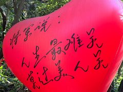 -将军关探险漂流