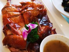 琵琶鸭-骏莱海鲜鱼港(五角场店)