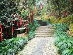 -梦姑塘文化公园