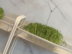 -烹然四季椰子鸡火锅(姚家园万象汇店)