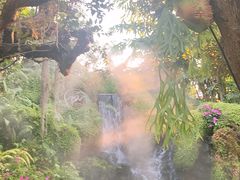 -Chom Cafe and Restaurant