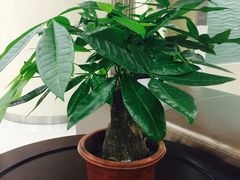 -中山大学附属肿瘤医院体检中心