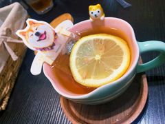 -逗柴咖啡屋·狗咖猫咖宠物桌游