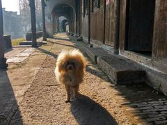 -状元楼(东大街店)