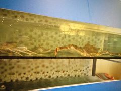 -南通大饭店(老楼)