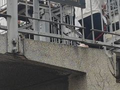 -滨州铁路桥
