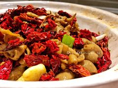 -大鸭梨烤鸭店(花园村店)