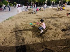 -天鹅湖体育公园