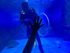 -烟台海昌鲸鲨海洋公园