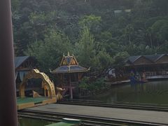 -西双版纳原始森林公园