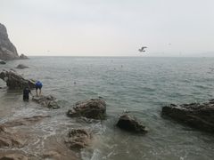 -海驴岛(荣成市)