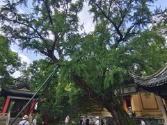 -无锡惠山寺