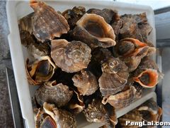 -抹直口特色菜馆(一店)