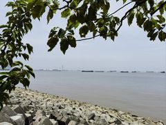 -上海滨江森林公园