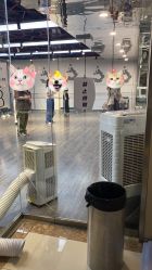 -泫舞舞蹈工作室
